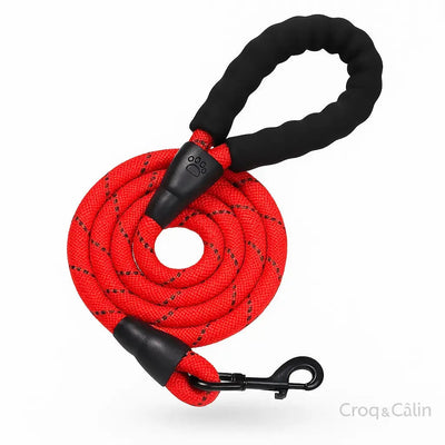 https://cdn.shopify.com/s/files/1/0923/9910/8483/files/Image_1_mai_2025_03_53_41.png?v=1747591659