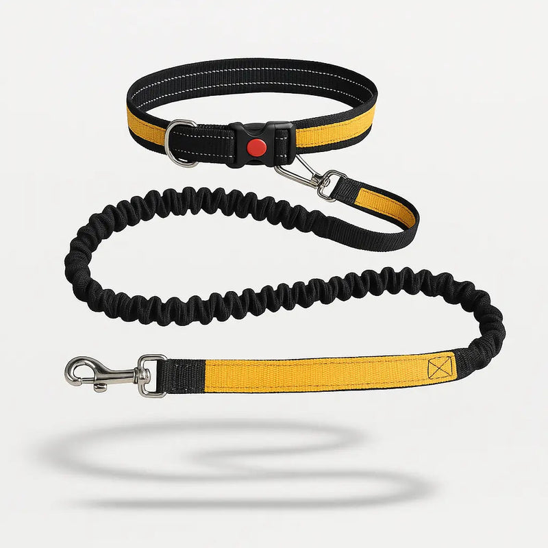 https://cdn.shopify.com/s/files/1/0923/9910/8483/files/Ceinture_Laisse_Main_Libre_Pour_Chien.jpg?v=1747591876