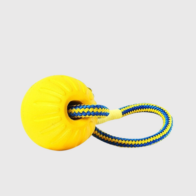 https://cdn.shopify.com/s/files/1/0763/9767/4819/files/Jouet_balle_en_caoutchouc_avec_corde_pour_chien_couleur_jaune_corde_bleu.png?v=1691502873