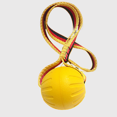 https://cdn.shopify.com/s/files/1/0763/9767/4819/files/Jouet_balle_en_caoutchouc_avec_corde_pour_chien_jaune_et_corde_multicolor.png?v=1691502873