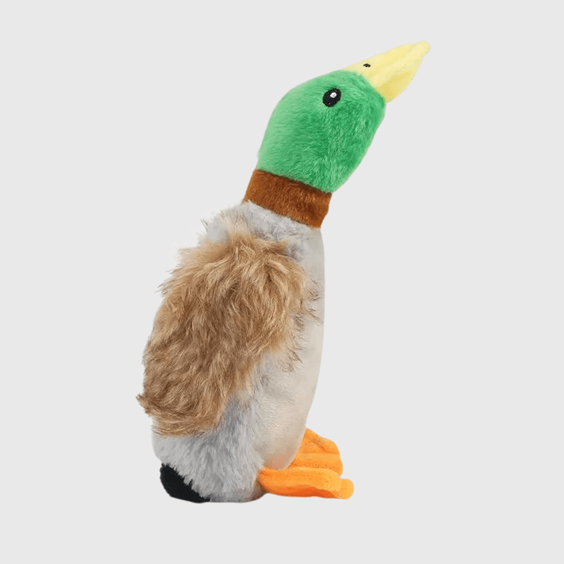 https://cdn.shopify.com/s/files/1/0763/9767/4819/files/Jouet_canard_pour_chien_de_chasse_dans_un_jardin.png?v=1746200657