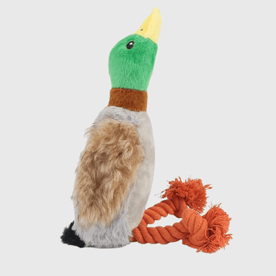 https://cdn.shopify.com/s/files/1/0763/9767/4819/files/Jouet_canard_pour_chien_corde.png?v=1746200632
