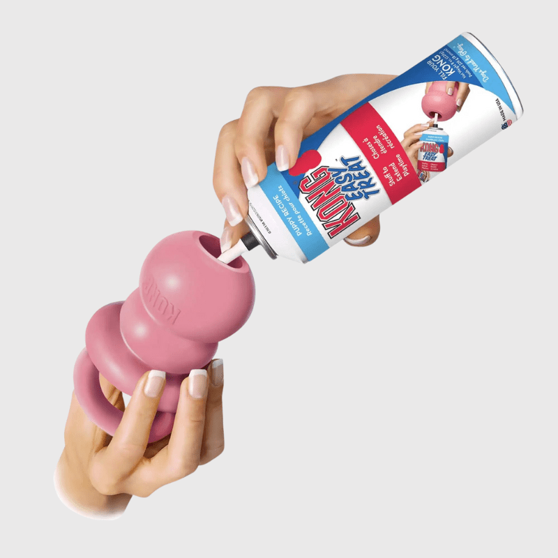 https://cdn.shopify.com/s/files/1/0763/9767/4819/files/Jouet_chien_tetine_Kong_bleu.png?v=1699540724