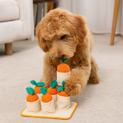 https://cdn.shopify.com/s/files/1/0763/9767/4819/files/Jouet_educatif_pour_chien_caniche.png?v=1755872651