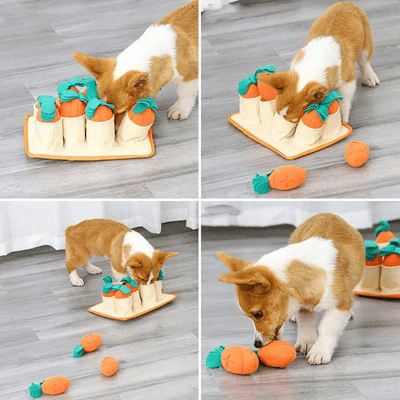 https://cdn.shopify.com/s/files/1/0763/9767/4819/files/Jouet_educatif_pour_chien_chiot.png?v=1755872651