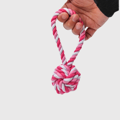 https://cdn.shopify.com/s/files/1/0763/9767/4819/files/Jouet_en_corde_rose_et_blanc_pour_chien_rose_blanche_en_forme_de_boule.png?v=1755872963
