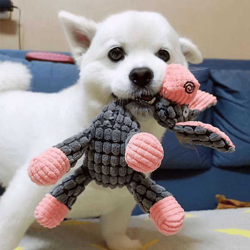 https://cdn.shopify.com/s/files/1/0763/9767/4819/files/Jouet_en_peluche_pour_chien_labrador.png?v=1749141206