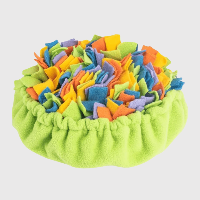 https://cdn.shopify.com/s/files/1/0763/9767/4819/files/Jouet_intelligent_pour_chien_dans_salon.png?v=1750086384