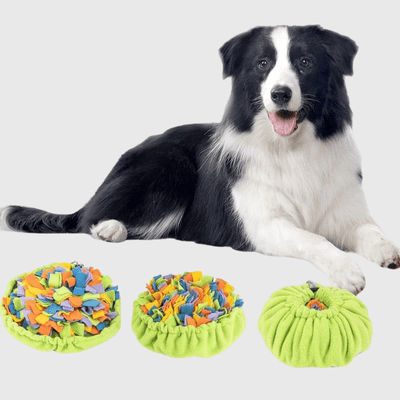 https://cdn.shopify.com/s/files/1/0763/9767/4819/files/Jouet_intelligent_pour_chien_border_collie.png?v=1750086363