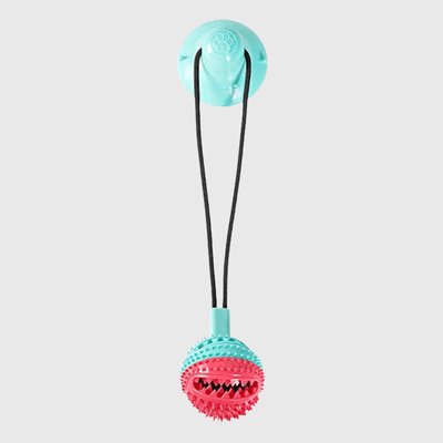 https://cdn.shopify.com/s/files/1/0763/9767/4819/files/Jouet_pour_chien_avec_ventouse_bleu_rose.png?v=1755872808