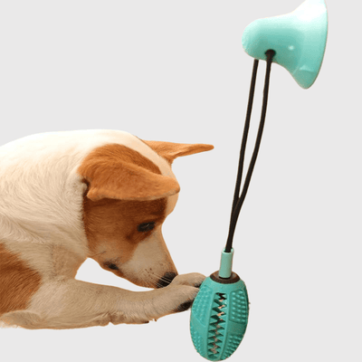 https://cdn.shopify.com/s/files/1/0763/9767/4819/files/Jouet_pour_chien_avec_ventouse_corgi.png?v=1755872808