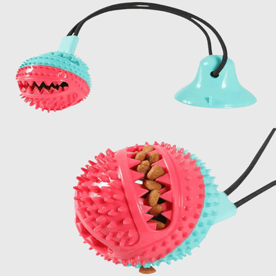 https://cdn.shopify.com/s/files/1/0763/9767/4819/files/Jouet_pour_chien_avec_ventouse_croquette.png?v=1755872808