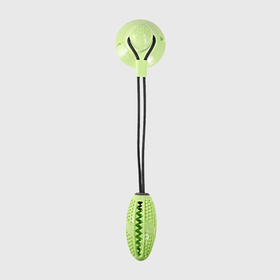 https://cdn.shopify.com/s/files/1/0763/9767/4819/files/Jouet_pour_chien_avec_ventouse_vert.png?v=1755872808