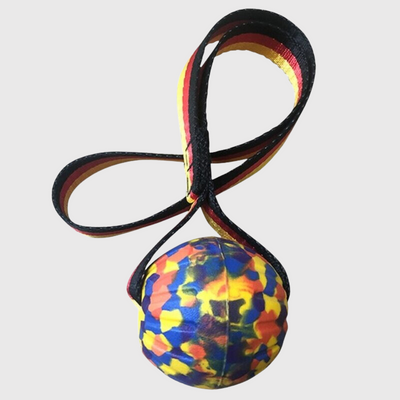https://cdn.shopify.com/s/files/1/0763/9767/4819/files/Jouet_pour_chien_balle_avec_corde_corde_noir_et_boule_multicolor.png?v=1691506688
