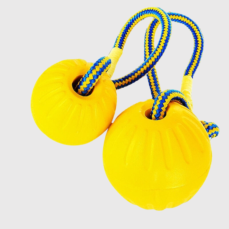 https://cdn.shopify.com/s/files/1/0763/9767/4819/files/Jouet_pour_chien_balle_avec_corde_double_jaunes.png?v=1691506688