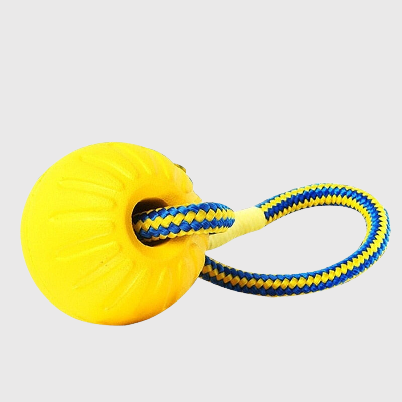 https://cdn.shopify.com/s/files/1/0763/9767/4819/files/Jouet_pour_chien_balle_avec_corde_jaune_avec_la_corde_bleu_et_jaune.png?v=1691506688
