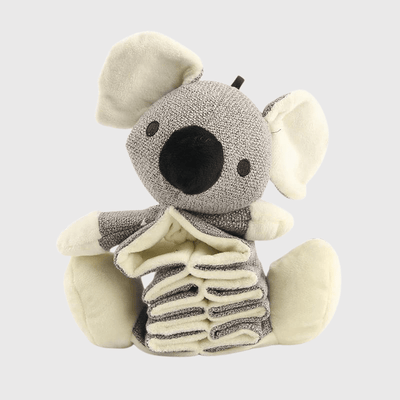 https://cdn.shopify.com/s/files/1/0763/9767/4819/files/Jouet_pour_chien_qui_s_ennuie_koala.png?v=1744819802