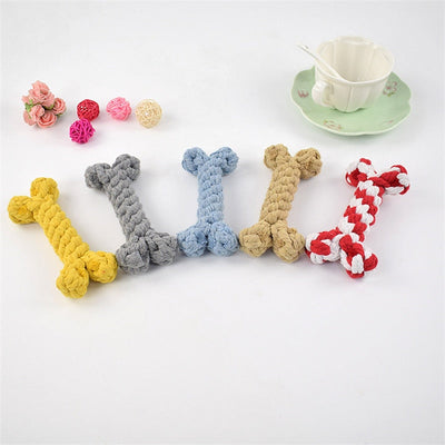 https://cdn.shopify.com/s/files/1/0763/9767/4819/files/Jouet_pour_gros_chien_exemple.jpg?v=1749650447