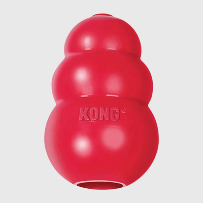 https://cdn.shopify.com/s/files/1/0763/9767/4819/files/Kong_jouet_pour_chien_Rouge.png?v=1699541946