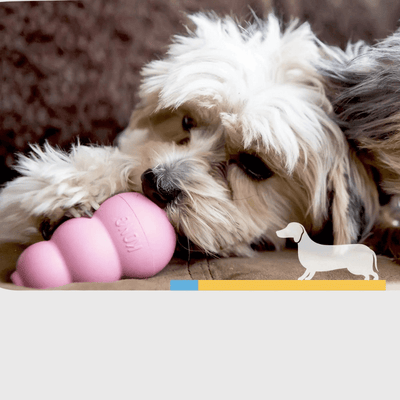 https://cdn.shopify.com/s/files/1/0763/9767/4819/files/Kong_jouet_pour_chien_bleu_spitz.png?v=1699541440