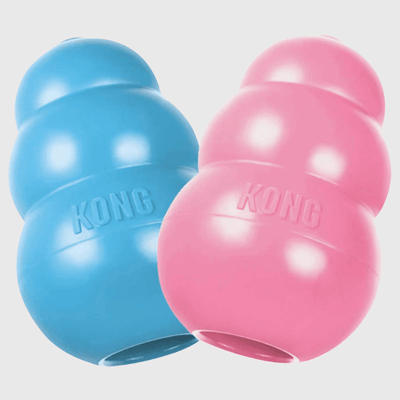 https://cdn.shopify.com/s/files/1/0763/9767/4819/files/Kong_jouet_pour_chien_rose.png?v=1699543327