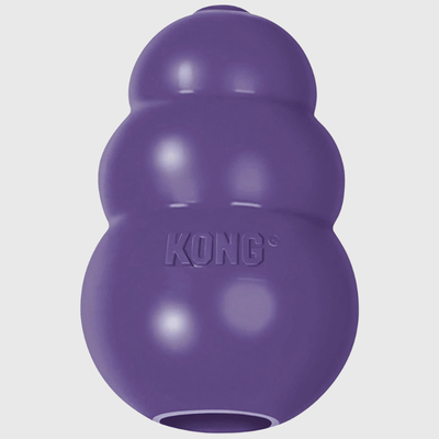 https://cdn.shopify.com/s/files/1/0763/9767/4819/files/Kong_jouet_pour_chien_violet.png?v=1699543344