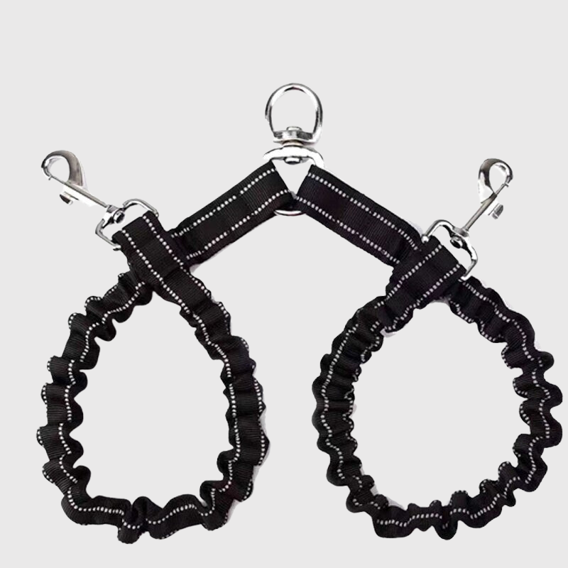 Laisse Double Pivotante Gros Chien Nylon