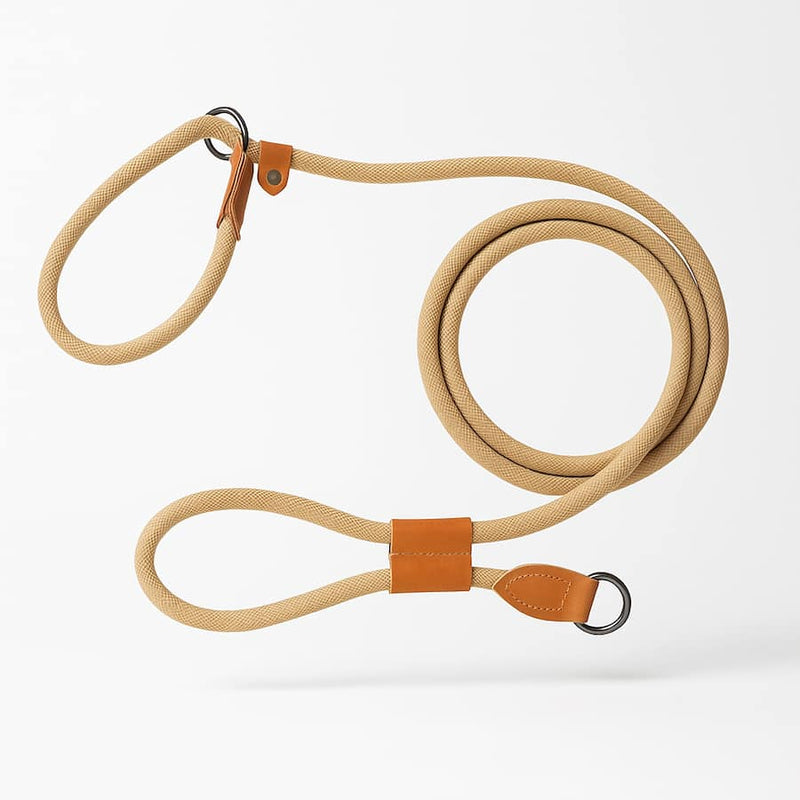 https://cdn.shopify.com/s/files/1/0923/9910/8483/files/Laisse_Lasso_Couleur_Caf.jpg?v=1749928753