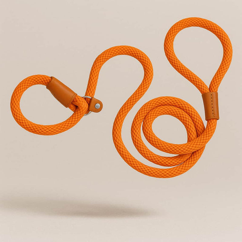 https://cdn.shopify.com/s/files/1/0923/9910/8483/files/Laisse_Lasso_Pour_Chien_Gros.jpg?v=1747524508