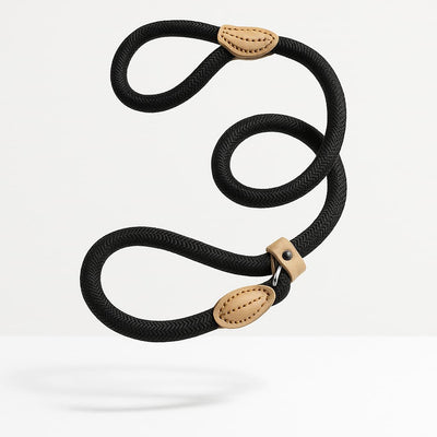 https://cdn.shopify.com/s/files/1/0923/9910/8483/files/Laisse_Lasso_Pour_Chien_Moyen.jpg?v=1747525259