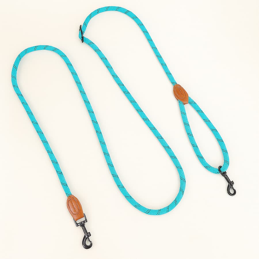 https://cdn.shopify.com/s/files/1/0923/9910/8483/files/Laisse_Mains_Libre_Pour_Chien_Laisse_Lasso.jpg?v=1750161470