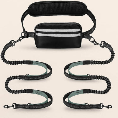 https://cdn.shopify.com/s/files/1/0923/9910/8483/files/Laisse_Mains_Libres_Pour_Chien_Laisse_Simple_et_Double.jpg?v=1750161453