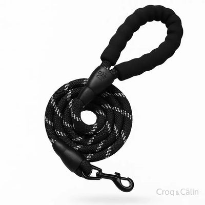 https://cdn.shopify.com/s/files/1/0923/9910/8483/files/Laisse_Reflechissante_Pour_Chien.png?v=1747591639