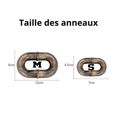https://cdn.shopify.com/s/files/1/0763/9767/4819/files/Laisse_chien_chaine_rigolo_taille_anneaux.png?v=1721749348