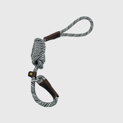 https://cdn.shopify.com/s/files/1/0763/9767/4819/files/Laisse_corde_pour_chien.png?v=1728400064