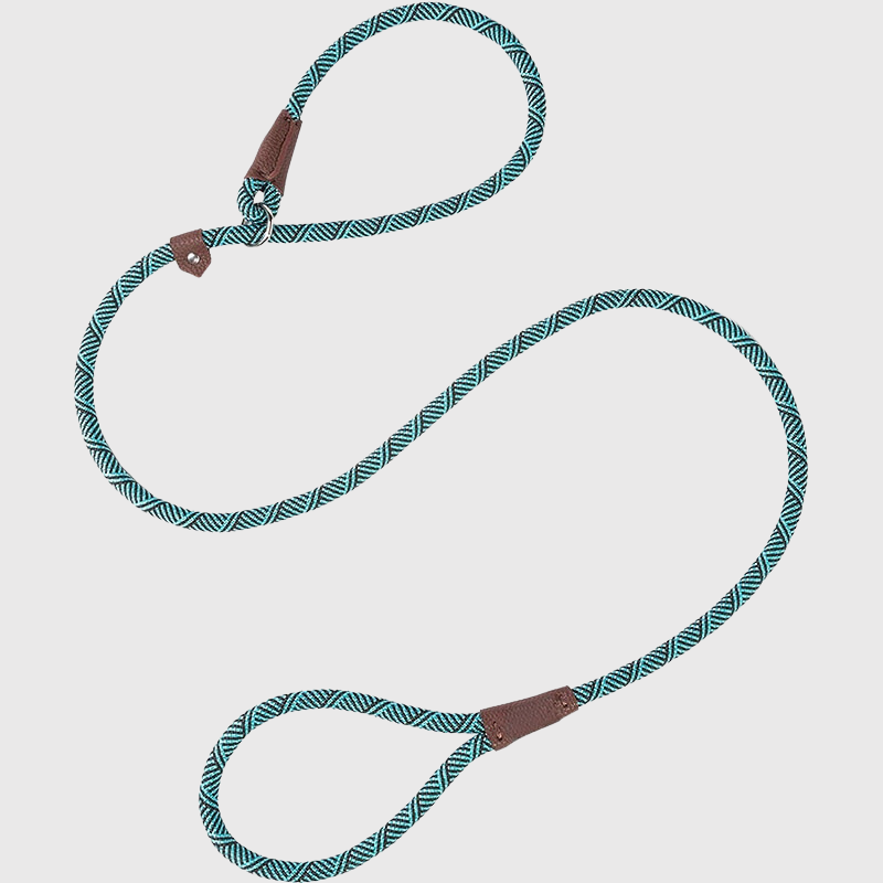 https://cdn.shopify.com/s/files/1/0763/9767/4819/files/Laisse_corde_pour_chien_bleu_ciel.png?v=1728400124