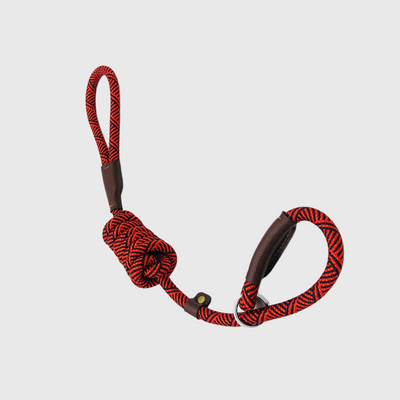 https://cdn.shopify.com/s/files/1/0763/9767/4819/files/Laisse_corde_pour_chien_rouge.png?v=1728400094
