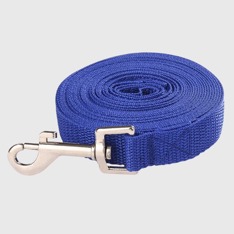 https://cdn.shopify.com/s/files/1/0763/9767/4819/files/Laisse_courte_pour_chien.png?v=1728402156