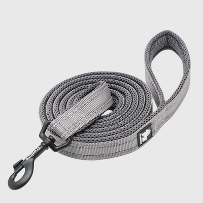 https://cdn.shopify.com/s/files/1/0763/9767/4819/files/Laisse_d_education_pour_chien_grise.png?v=1691507297