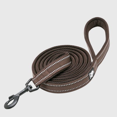 https://cdn.shopify.com/s/files/1/0763/9767/4819/files/Laisse_d_education_pour_chien_marron.png?v=1691507297