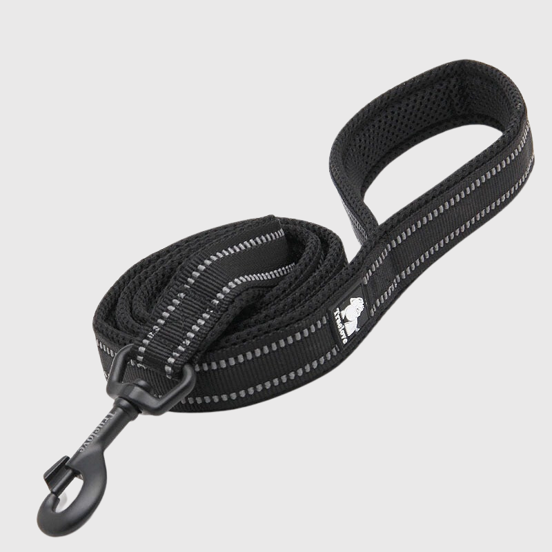 Laisse Éducation Nylon Renforcée Gros Chien