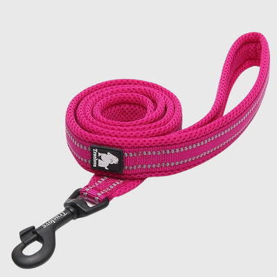 https://cdn.shopify.com/s/files/1/0763/9767/4819/files/Laisse_d_education_pour_chien_rose.png?v=1691507297
