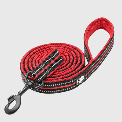 https://cdn.shopify.com/s/files/1/0763/9767/4819/files/Laisse_d_education_pour_chien_rouge_et_noire.png?v=1691507297