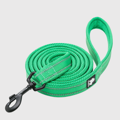 https://cdn.shopify.com/s/files/1/0763/9767/4819/files/Laisse_d_education_pour_chien_vert.png?v=1691507297