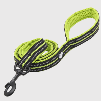 https://cdn.shopify.com/s/files/1/0763/9767/4819/files/Laisse_d_education_pour_chien_verte_et_noire.png?v=1691507295