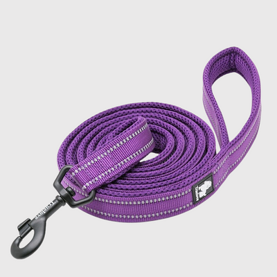https://cdn.shopify.com/s/files/1/0763/9767/4819/files/Laisse_d_education_pour_chien_voilet.png?v=1691507295