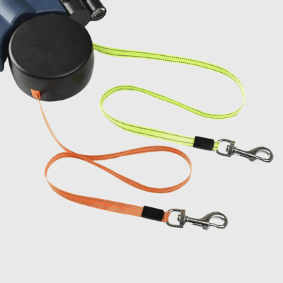 https://cdn.shopify.com/s/files/1/0763/9767/4819/files/Laisse_double_enrouleur_pour_chiens_modele.png?v=1749048144