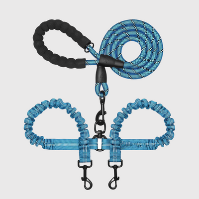 https://cdn.shopify.com/s/files/1/0763/9767/4819/files/Laisse_double_pour_chien_bleu.png?v=1749049399