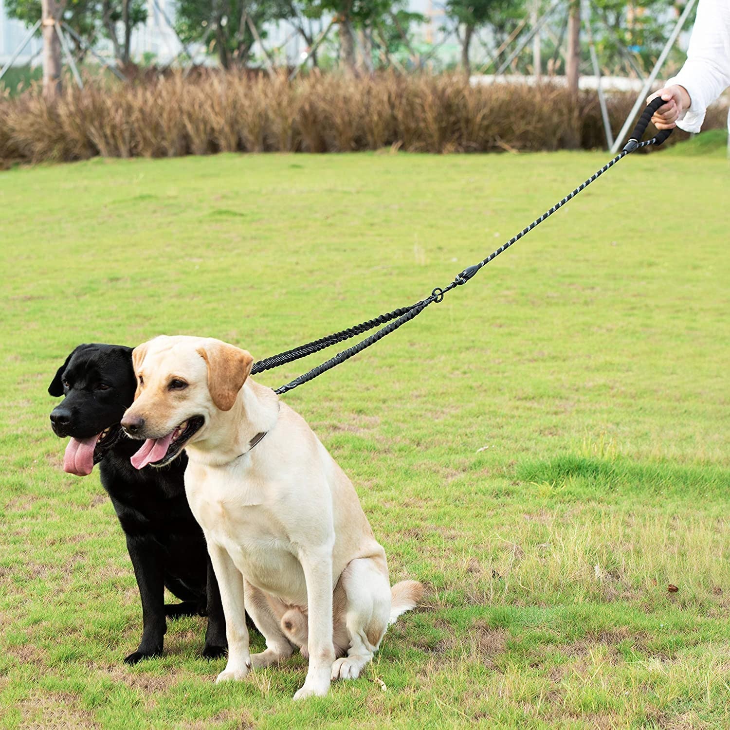 Laisse Double Anti-Enchevêtrement Nylon Gros Chien