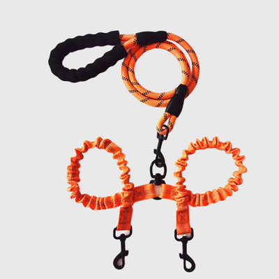 https://cdn.shopify.com/s/files/1/0763/9767/4819/files/Laisse_double_pour_chien_orange.png?v=1749049399